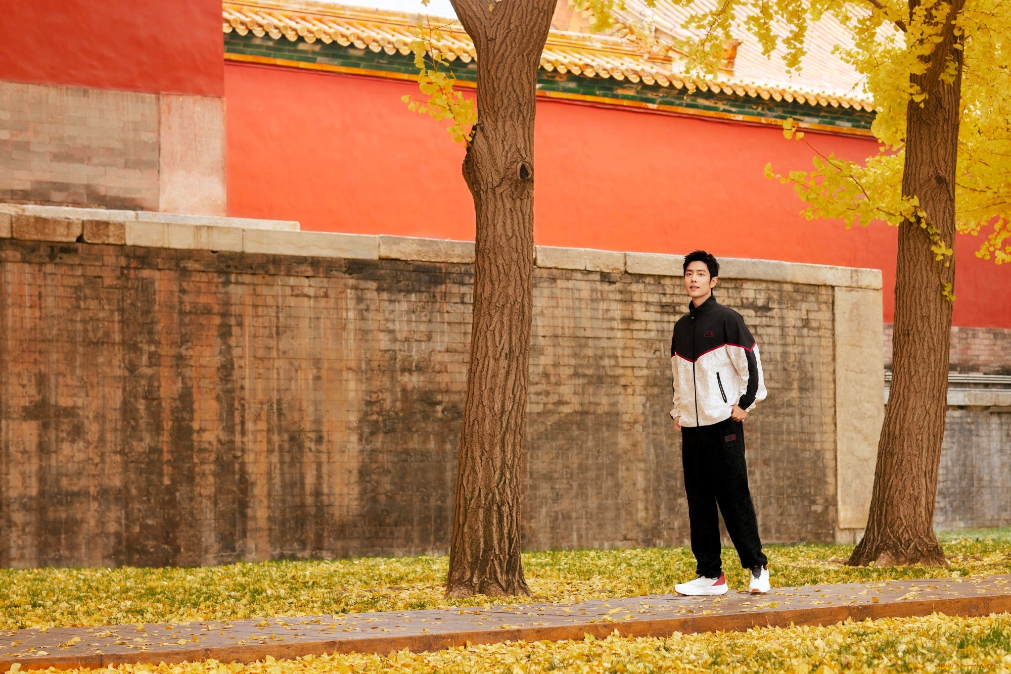 , xiao zhan, , , , , , , , 